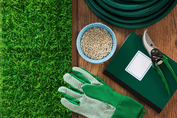 Lawn Fertilization in Boulder, CO - Landscaper