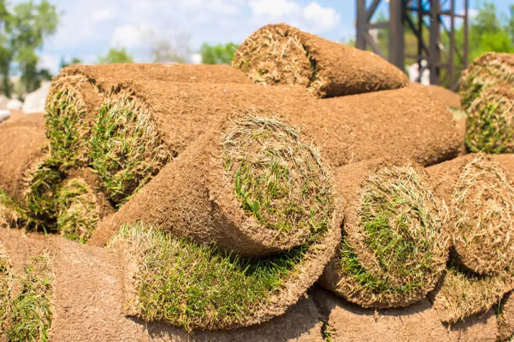 Sod Installation Boulder, CO