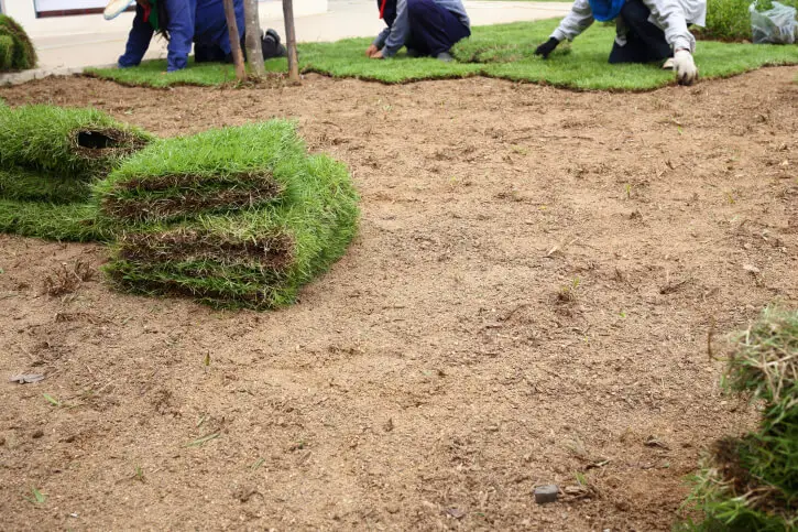 Sod Installation in Boulder, CO