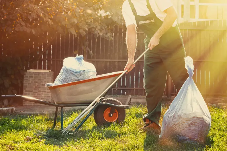 Yard Cleanup Boulder, CO