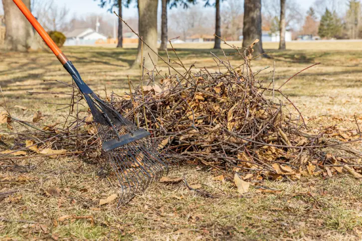 Yard Cleanup in Boulder, CO - Landscaper