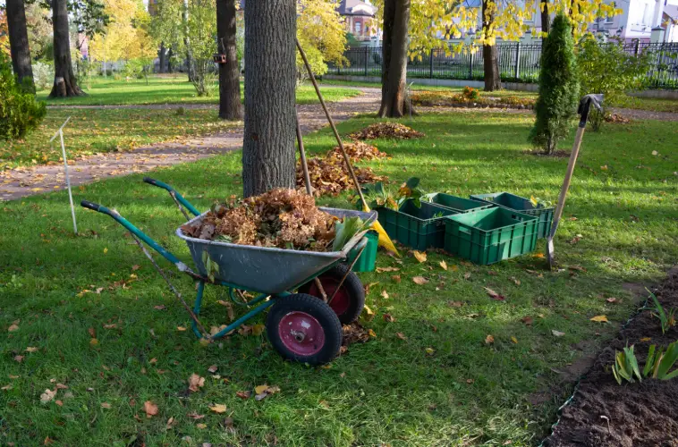 Yard Cleanup in Boulder, CO